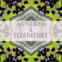 Load image into Gallery viewer, Agarikon & Elderberry - Super Immune Boosting