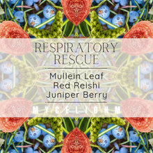 Load image into Gallery viewer, Respiratory Rescue (CBD FREE) 2 oz
