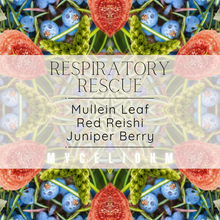 Load image into Gallery viewer, Respiratory Rescue (CBD FREE) 2 oz