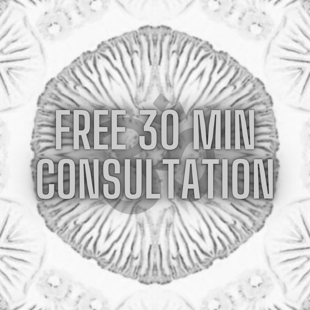 FREE 30 Minute Consultation