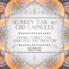 Load image into Gallery viewer, Turkey Tail + CBD Capsules - (40 ct)
