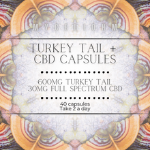 Load image into Gallery viewer, Turkey Tail + CBD Capsules - (40 ct)