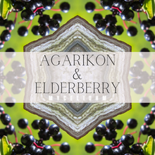 Load image into Gallery viewer, Agarikon &amp; Elderberry - Super Immune Boosting
