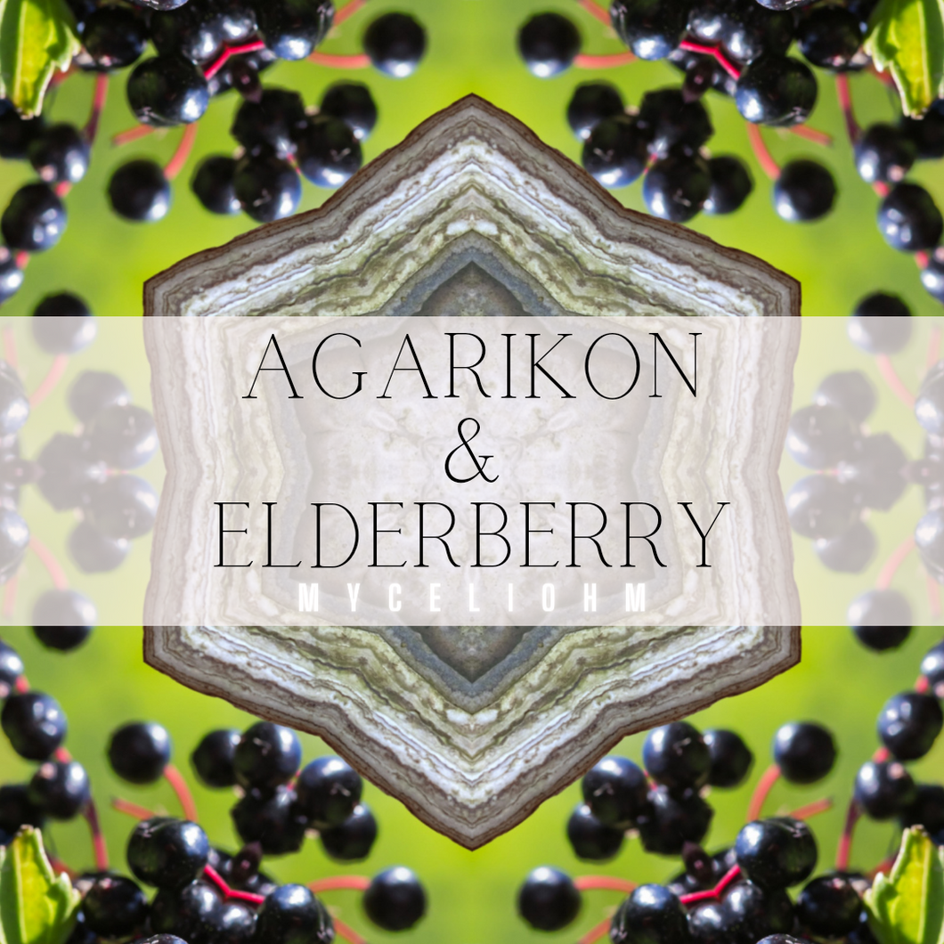 Agarikon & Elderberry - Super Immune Boosting