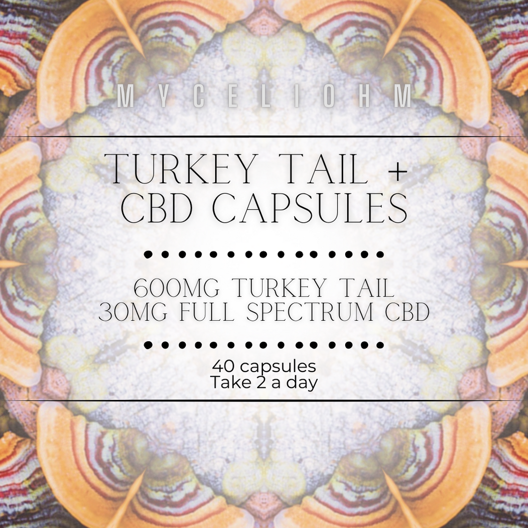 Turkey Tail + CBD Capsules - (40 ct)